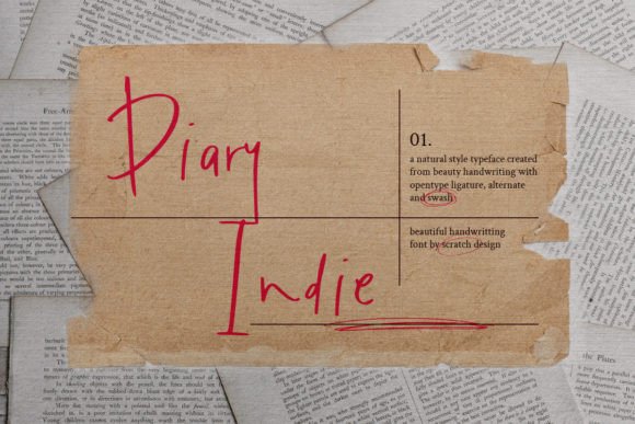 Diary Indie: A Designer’s Real-World Evaluation