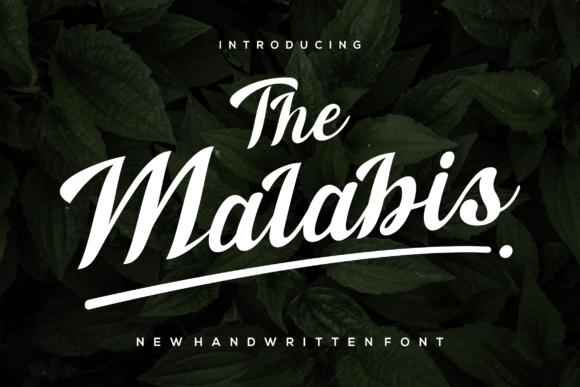 The Malabis: A Charming Script Font for Digital Engagement